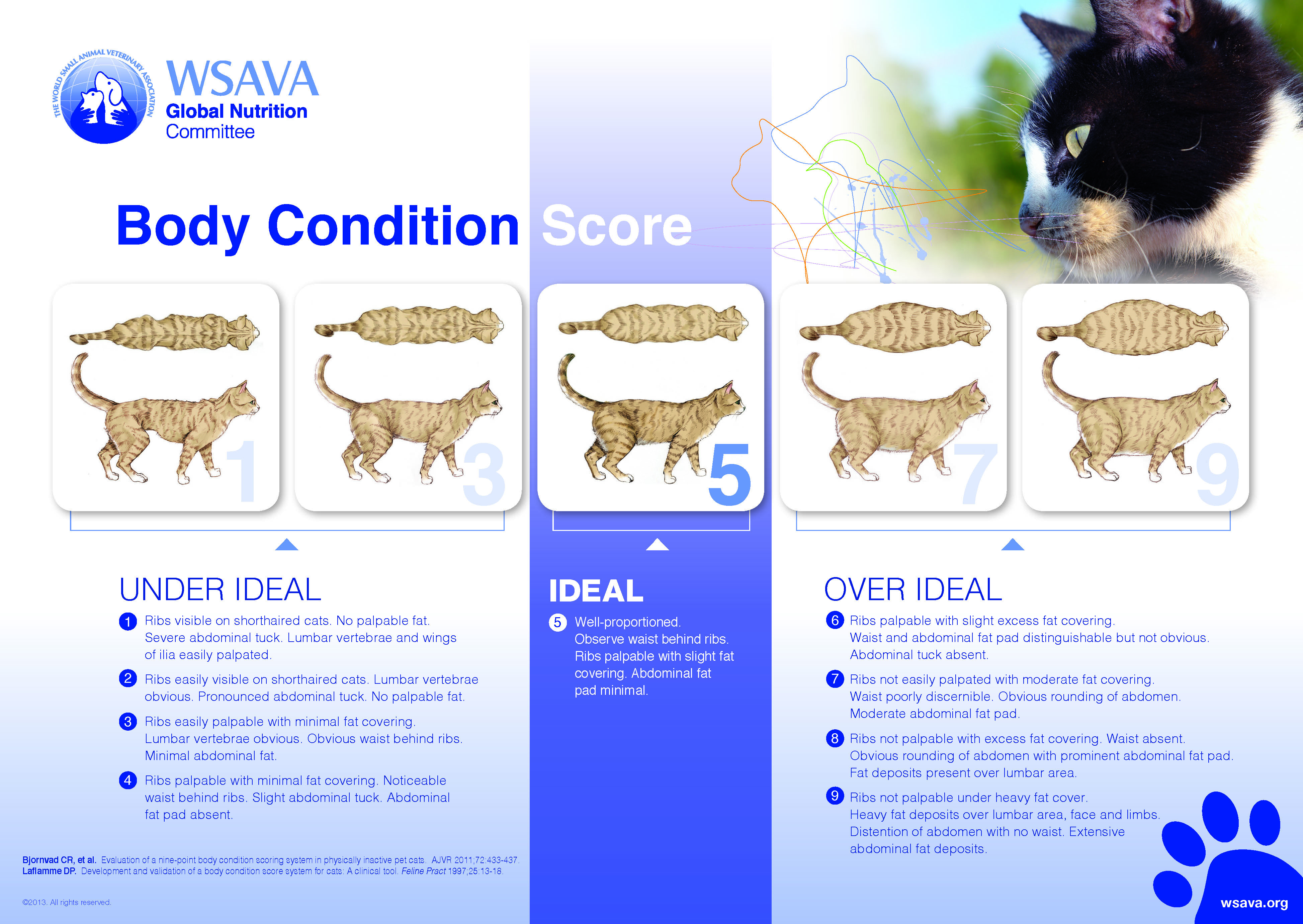 bcs chart full cat